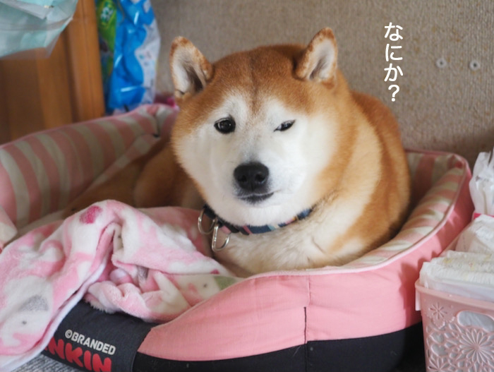 9日ブログ３