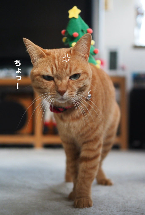 23日夕ブログ２