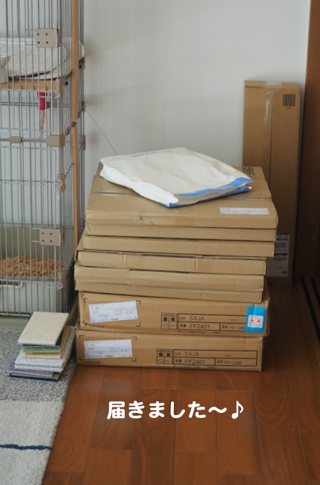 29日夕ブログ４