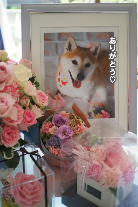 13日ブログ３