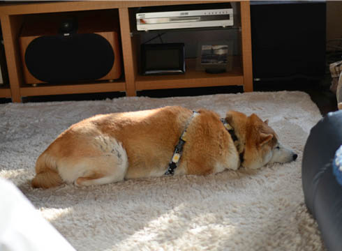 19日ブログ9.jpg