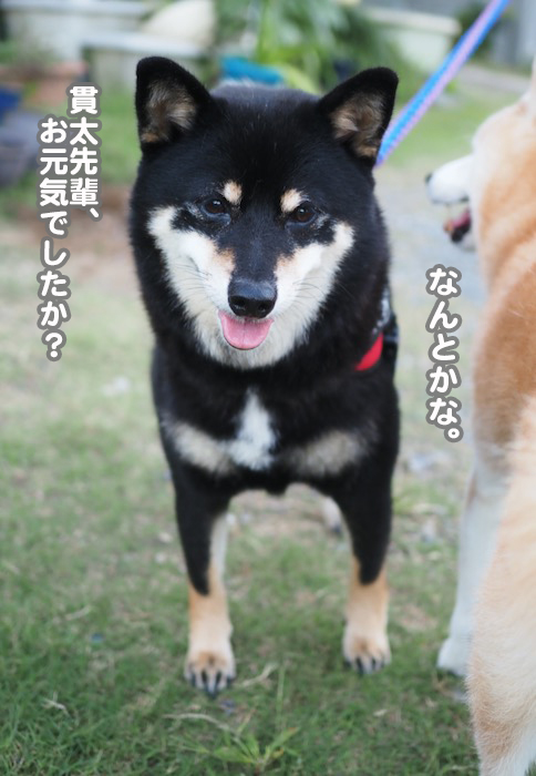 29日夕ブログ５