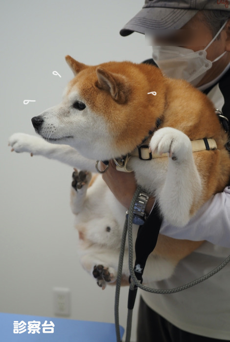 7日ブログ５