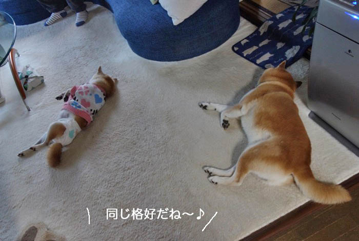 21日ブログ１