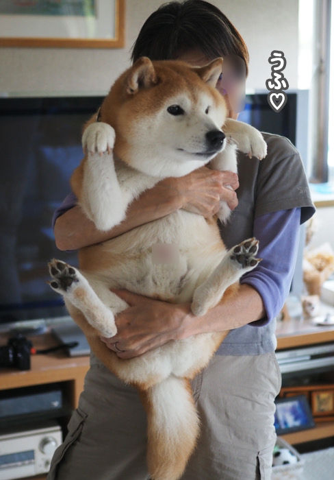 26日夕ブログ６