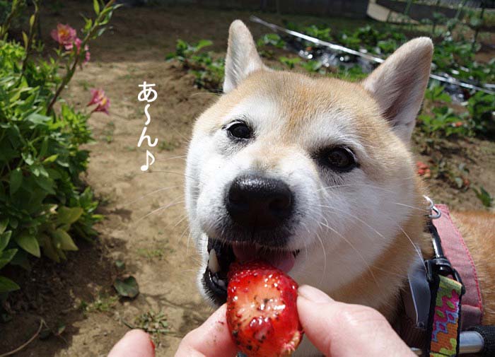 17日夜ブログ４
