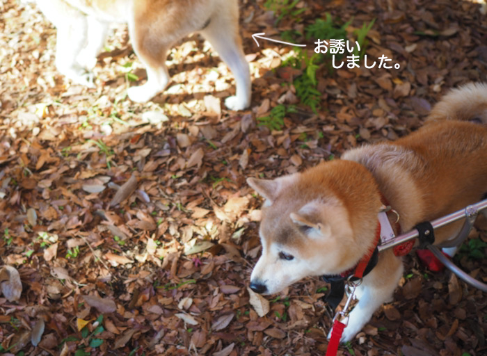 3日夕ブログ２