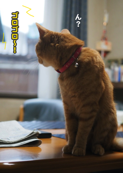 2日夕ブログ４