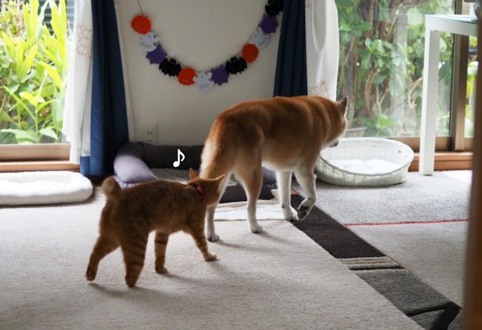 15日夕ブログ２
