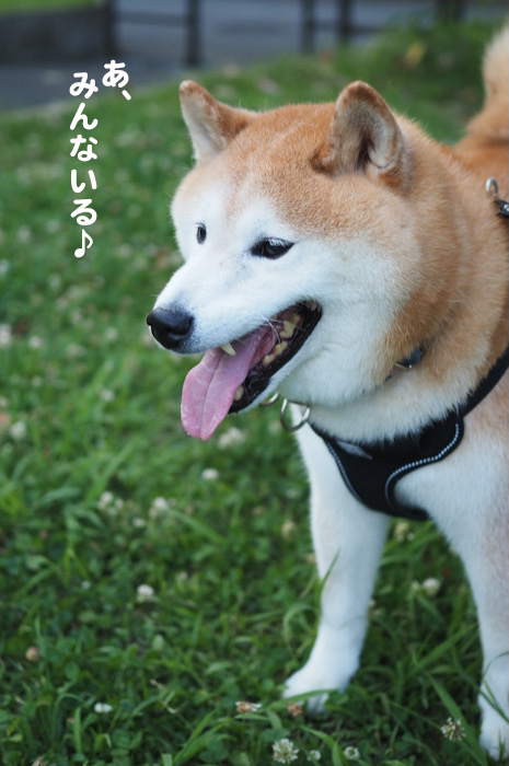 8日夕ブログ２