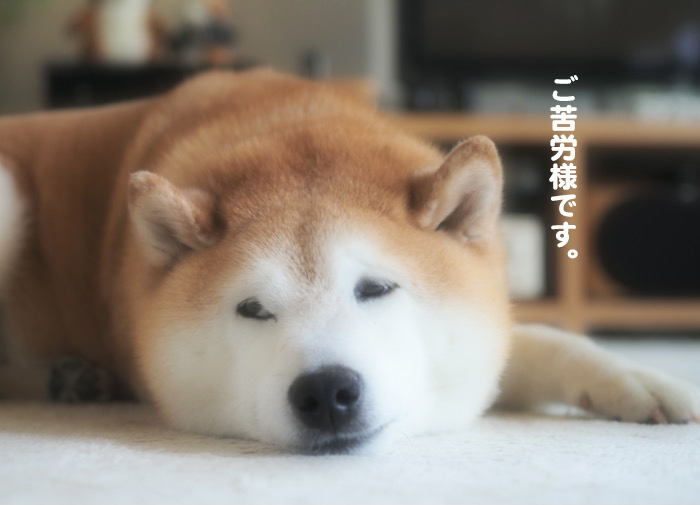 24日夕ブログ10