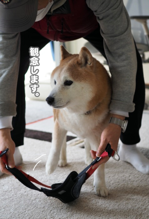 8日ブログ６