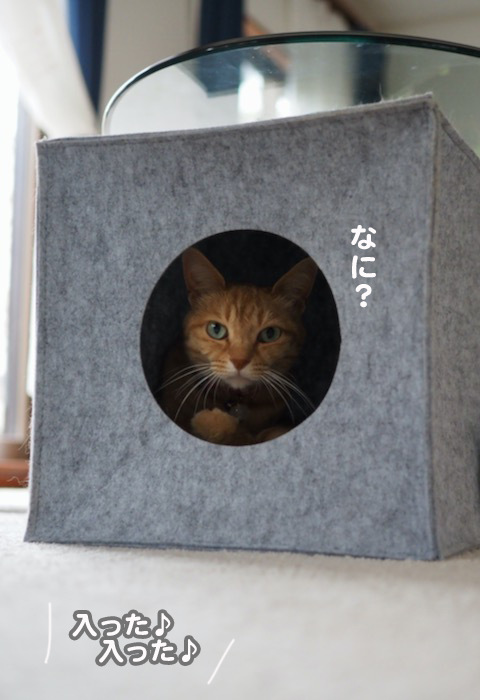 28日夕ブログ５