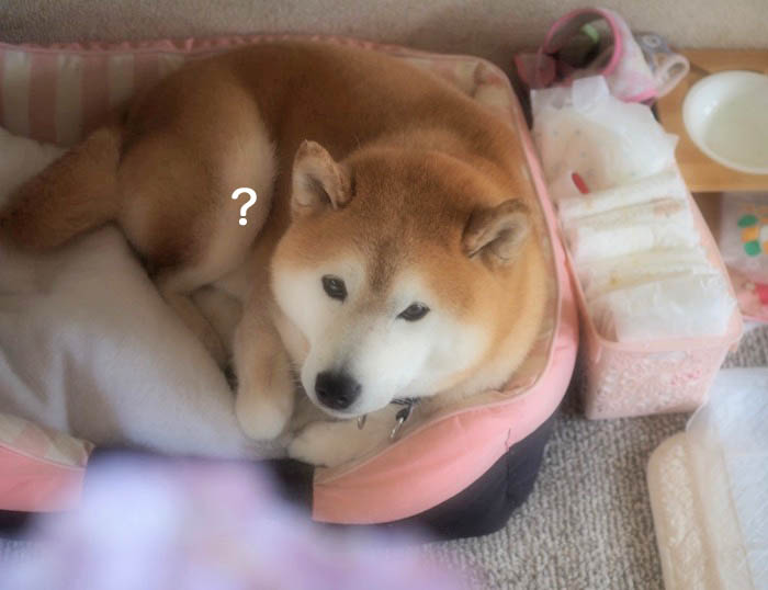13日ブログ２