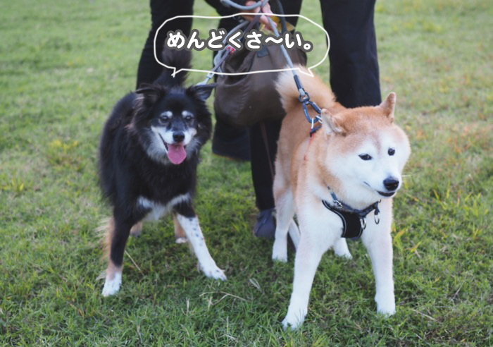18日夕ブログ３