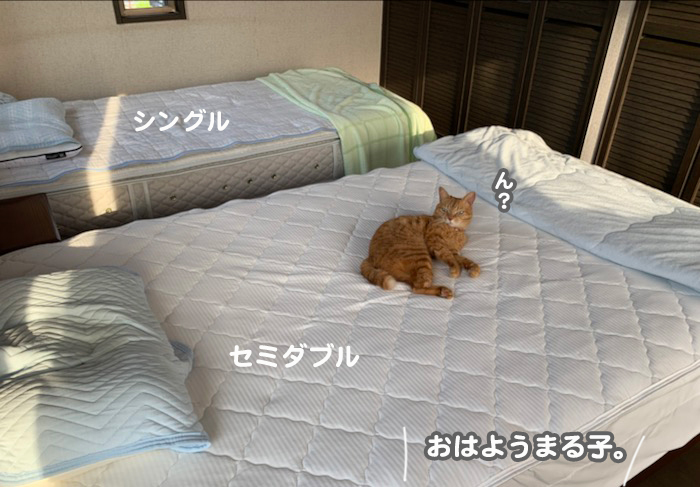 12日夕ブログ２