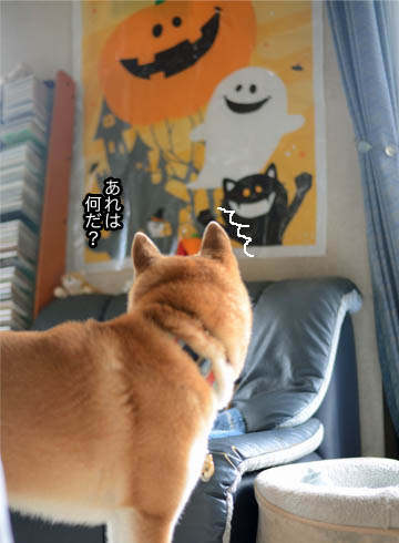26日ブログ4.jpg