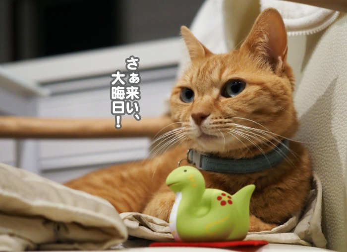 30日夕ブログ１０