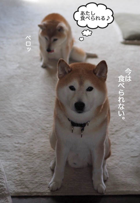 22日夜ブログ４