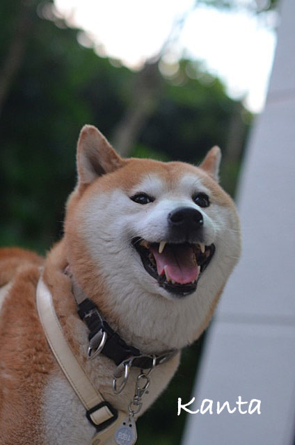 29日ブログ3