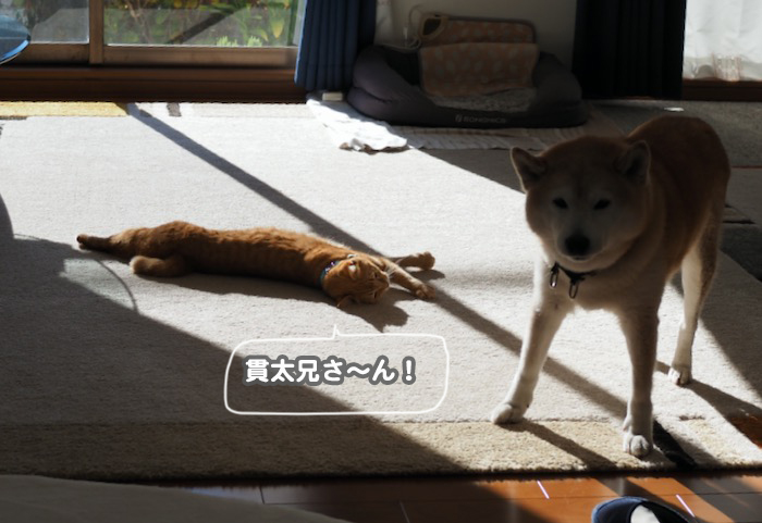 23日ブログ３