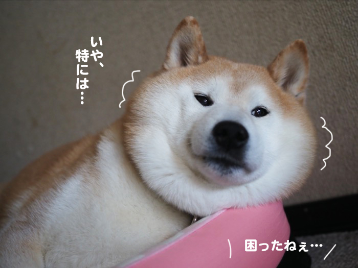 6日ブログ４