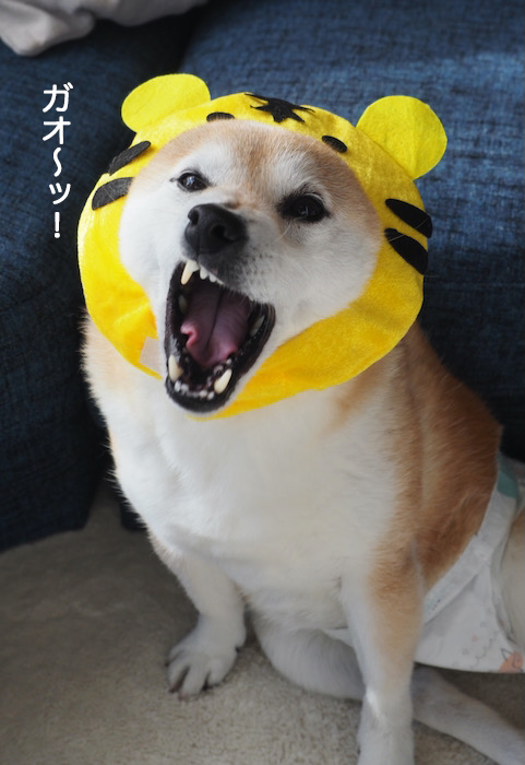 10日夜ブログ２