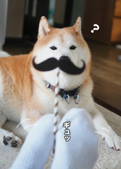 21日ブログ３