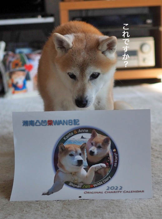 3日夕ブログ２