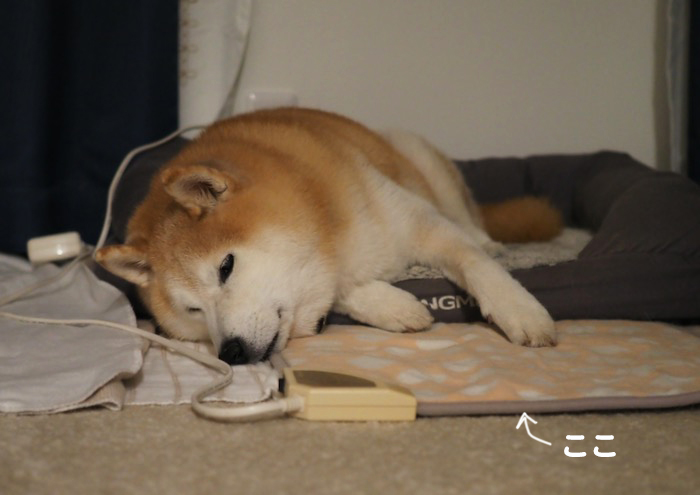 22日ブログ２