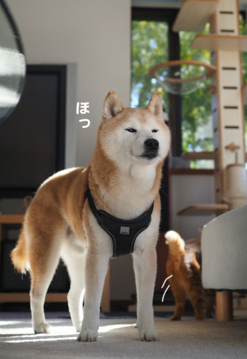 7日夕ブログ６