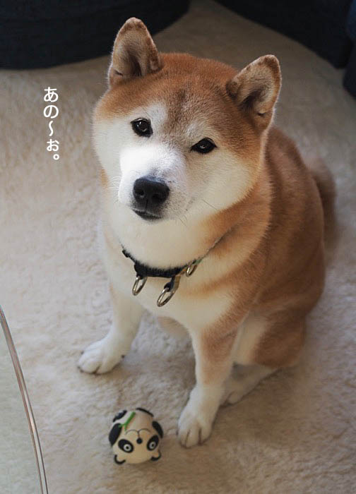 1日午後ブログ２