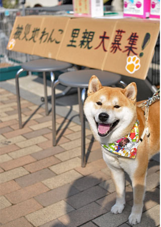 4日ブログ2.jpg