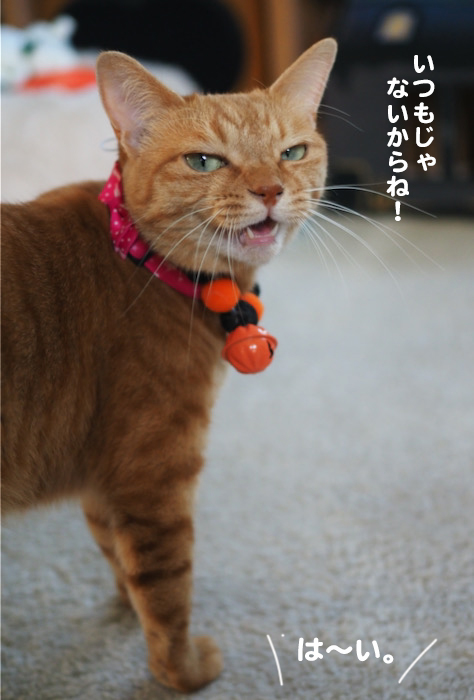 4日夕ブログ６