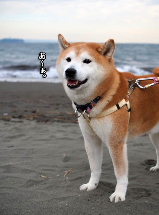 8日夜ブログ４