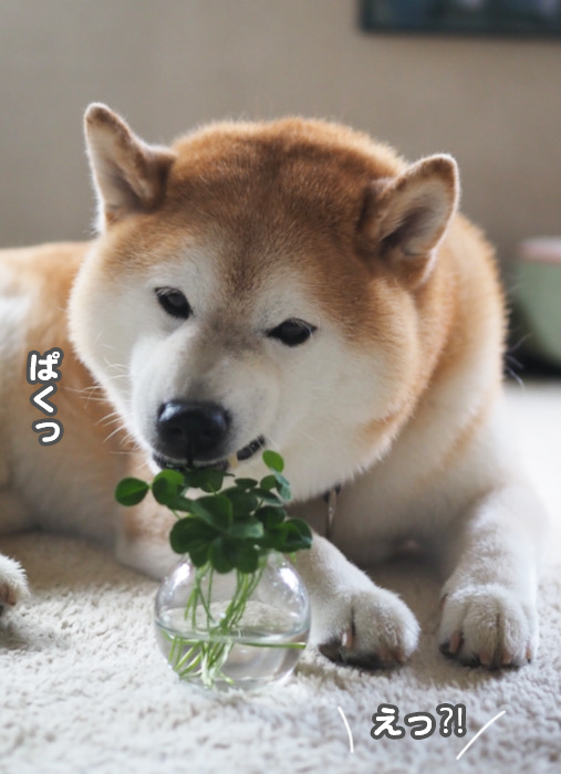 10日夕ブログ９