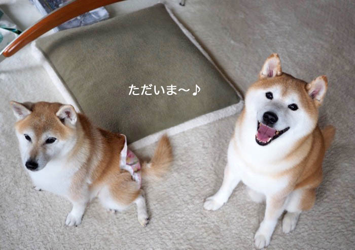 25日ブログ１３