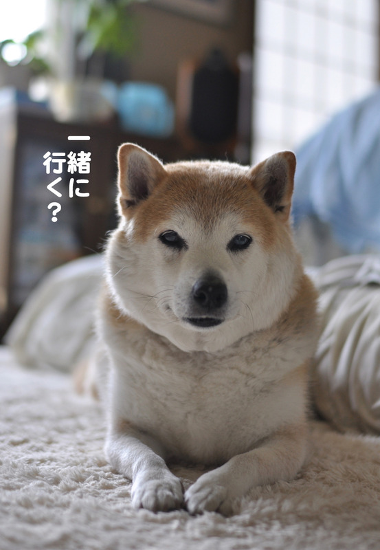 1日夕ブログ１５