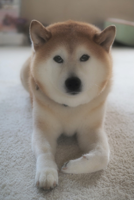 12日ブログ２
