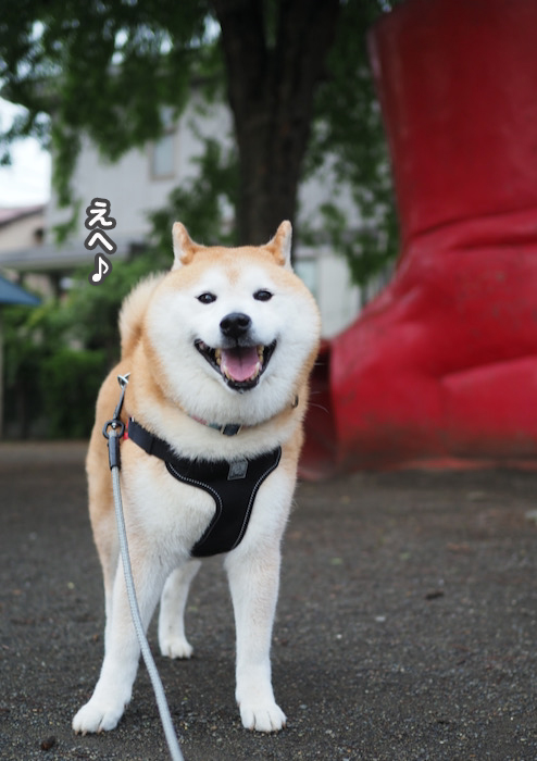 16日夜ブログ２