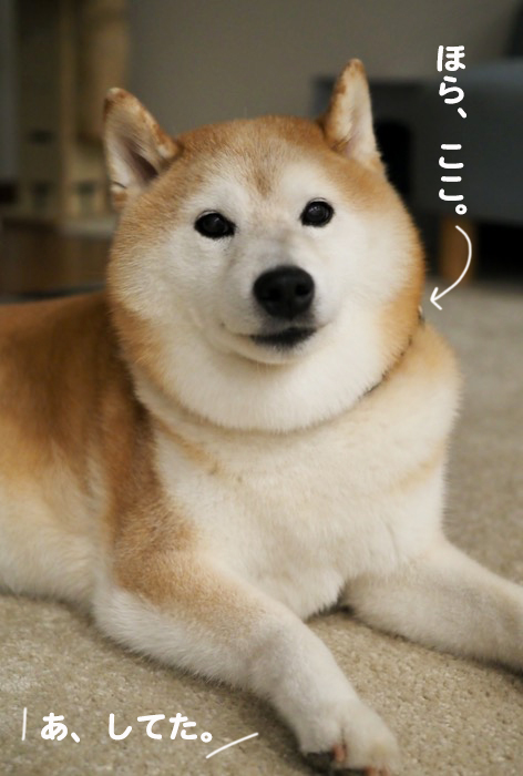 16日夕ブログ４