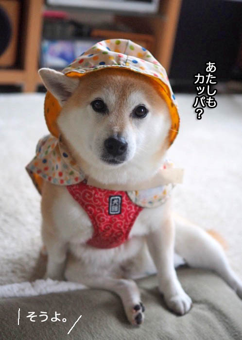 17日夕ブログ２