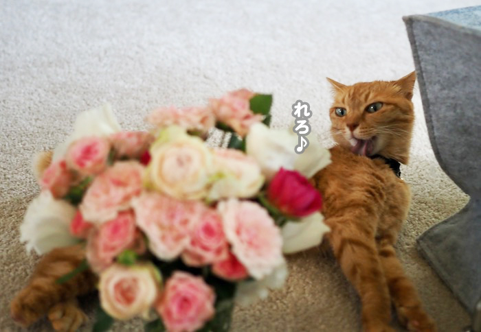10日夕ブログ４