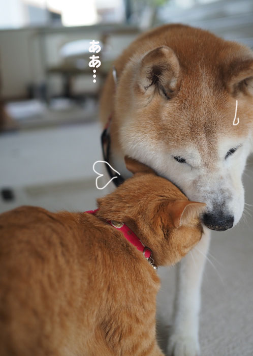 ９日ブログ４