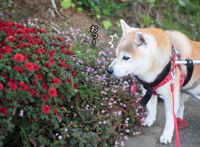 4日ブログ２