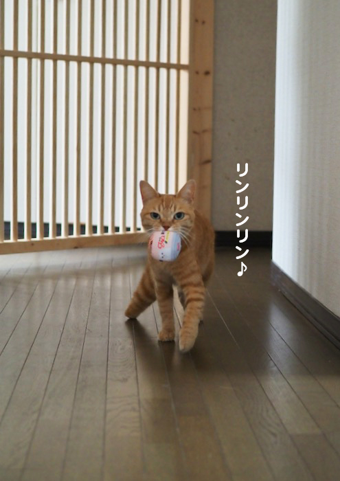 30日夕ブログ２