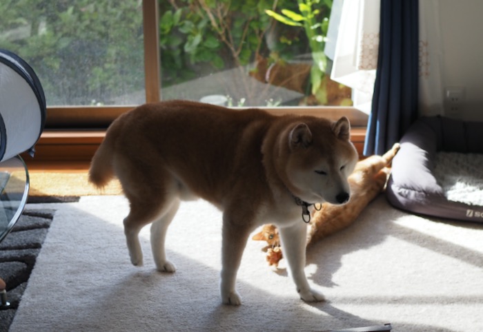 10日ブログ２