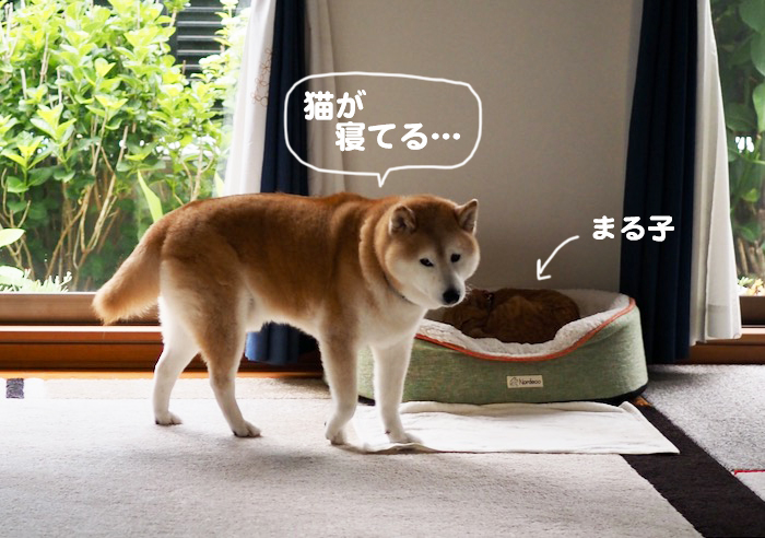 4日夕ブログ２