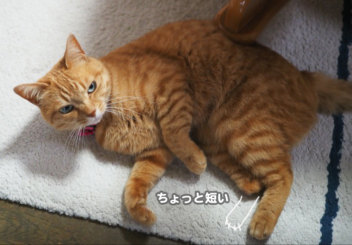 17日夕ブログ２