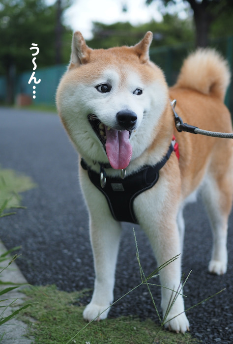 23日ブログ３